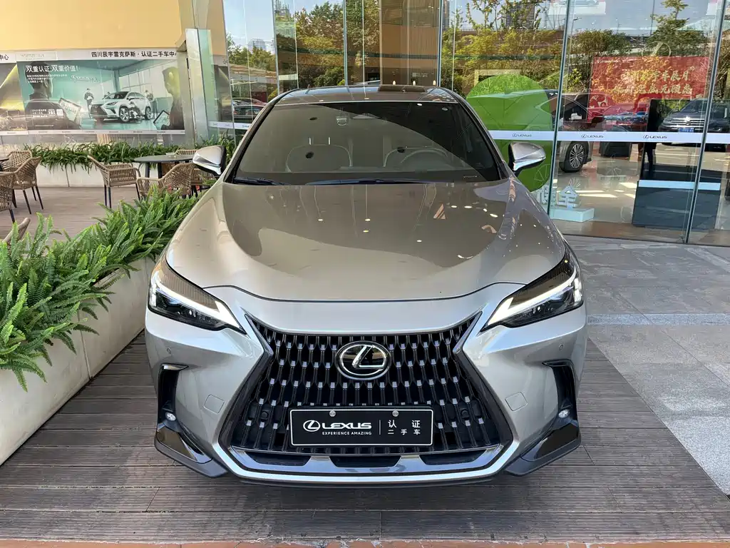 Lexus NX — миниатюра 2