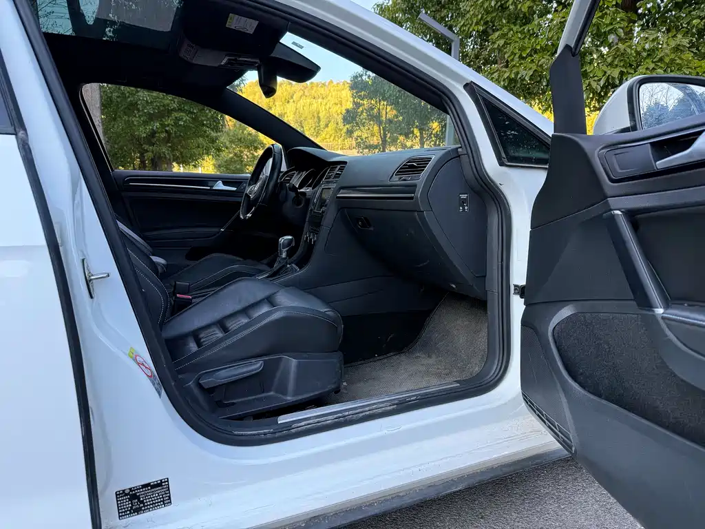 VOLKSWAGEN GOLF NEW ENERGY