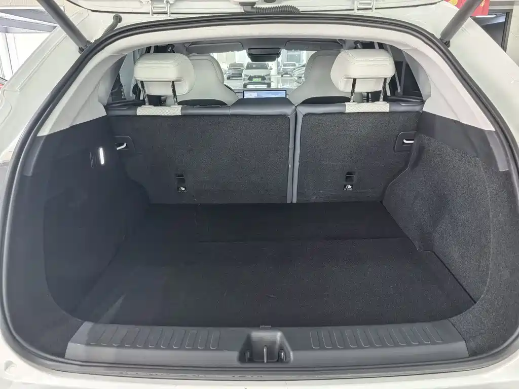 ARCFOX EXTREME FOX POLAR FOX ALPHA T5