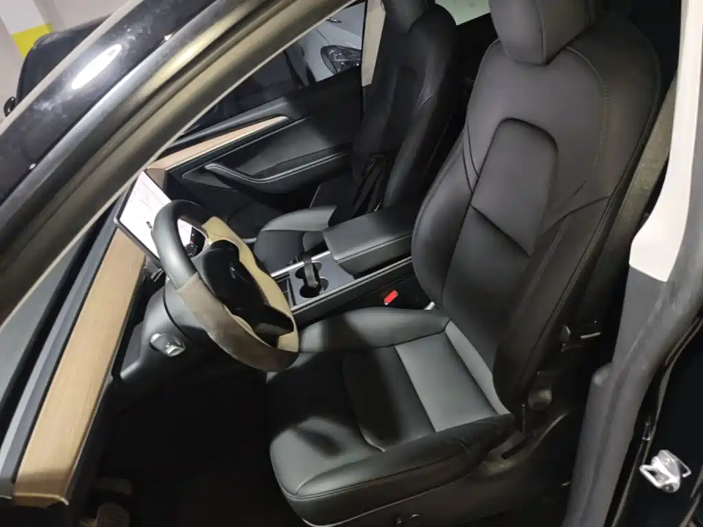 Tesla Model Y — миниатюра 15