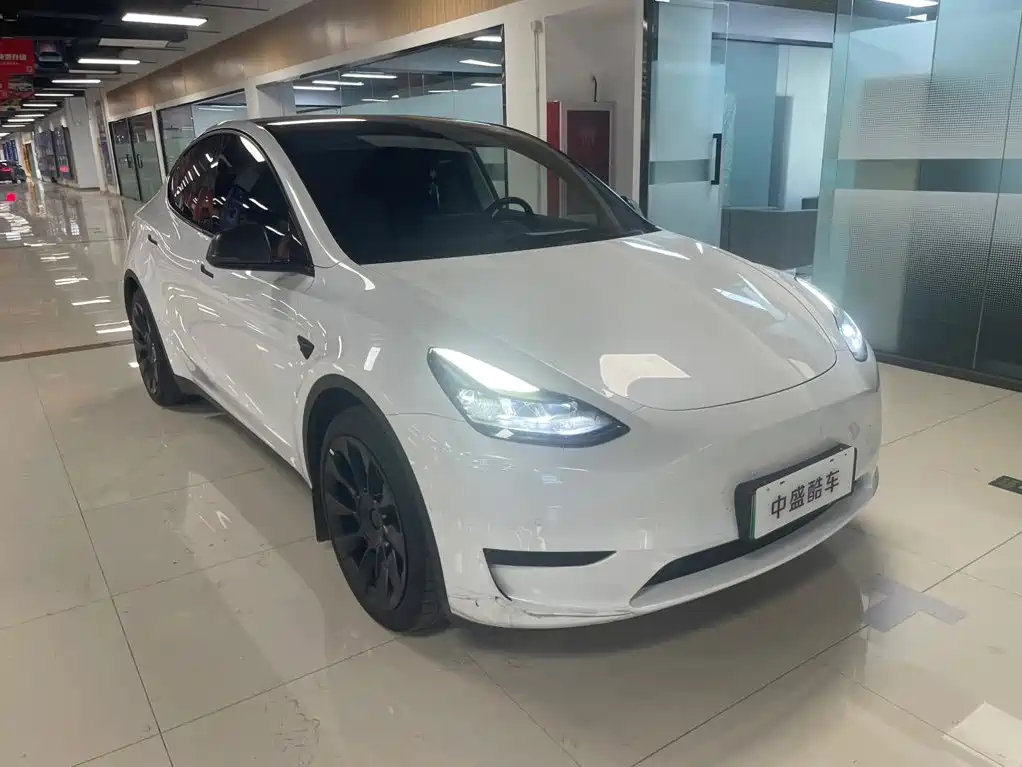 Tesla Model Y — миниатюра 2