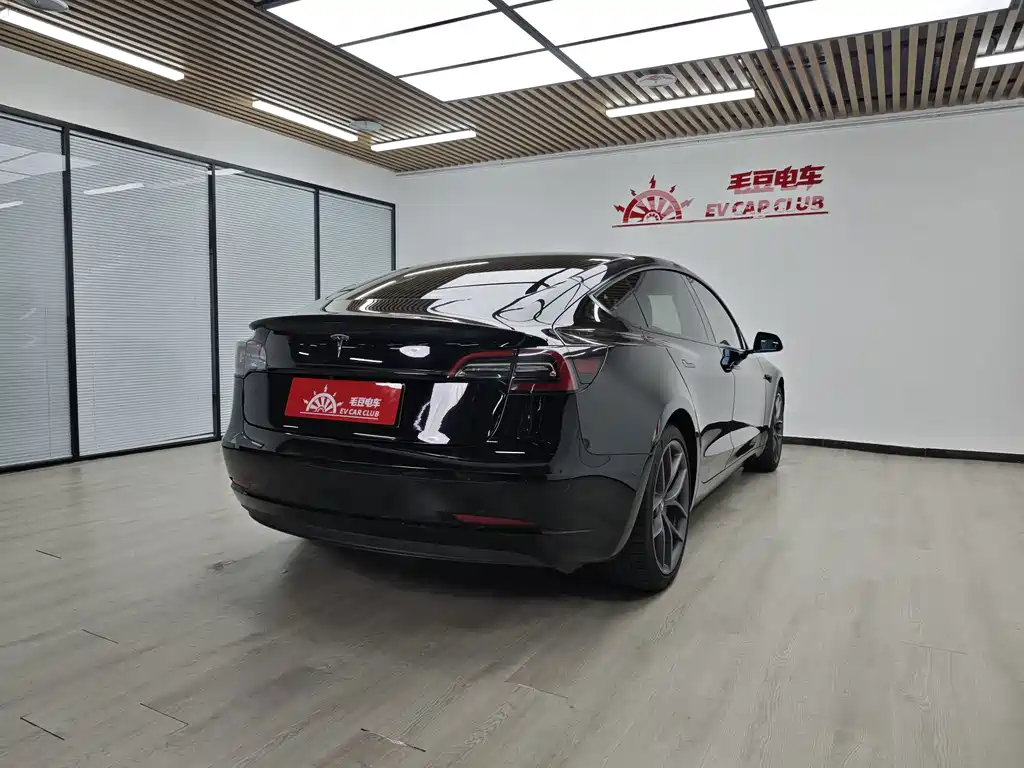 Tesla Model 3 — миниатюра 4