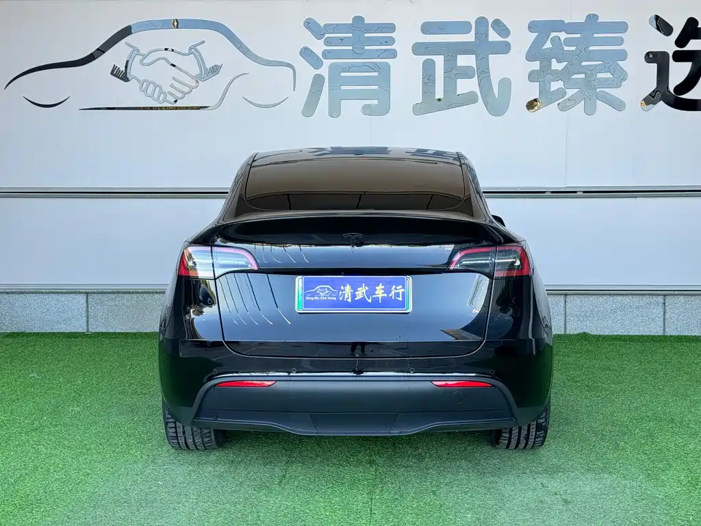 Tesla Model Y — миниатюра 13