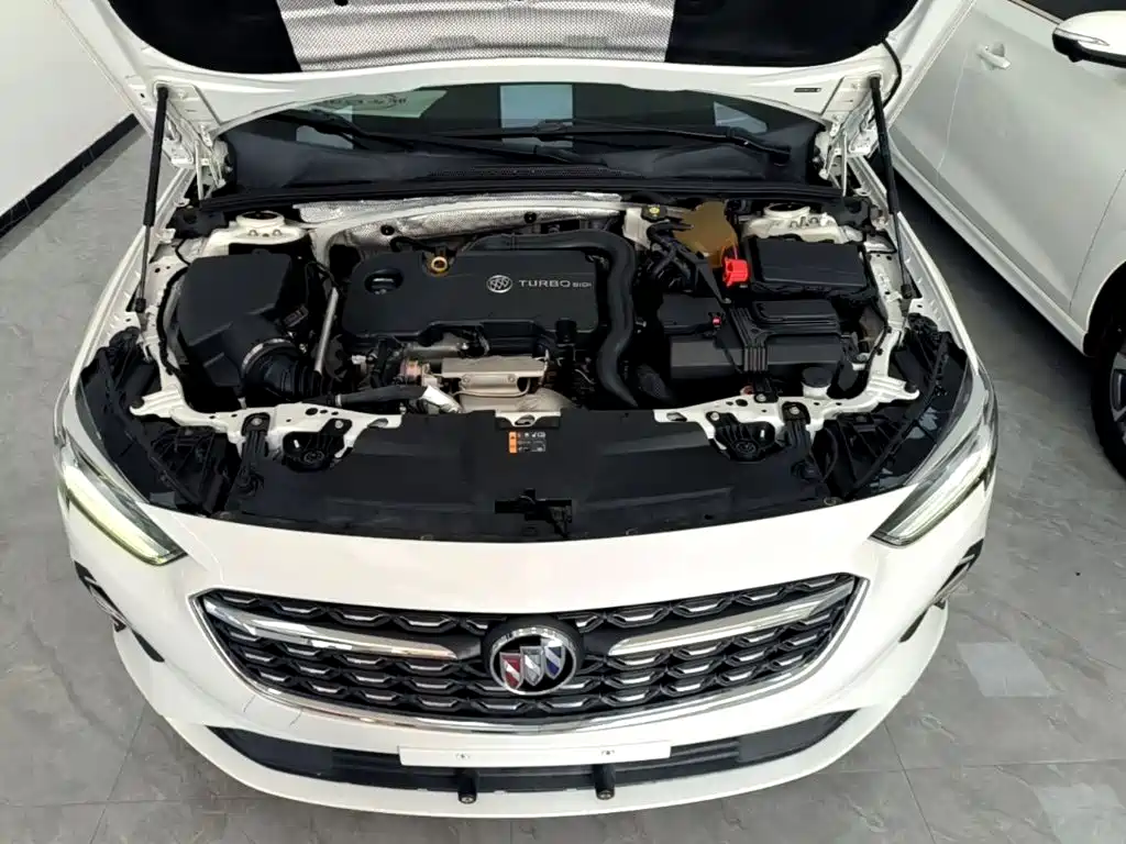 Buick Regal — миниатюра 20
