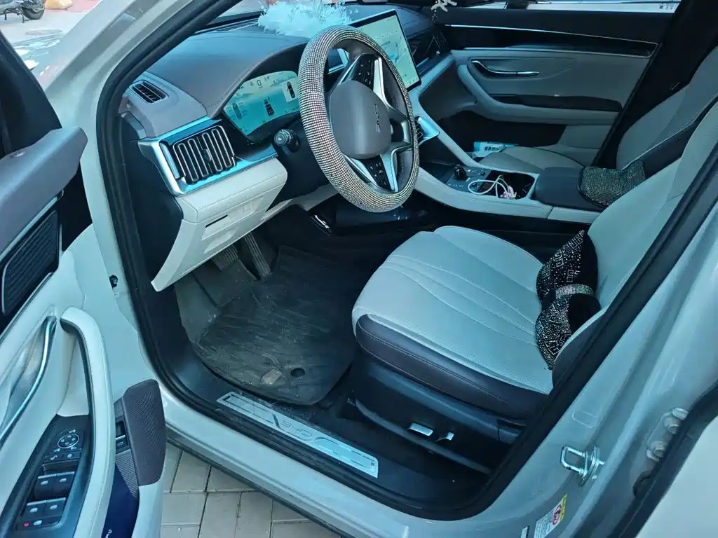 BYD PLUS New Energy — миниатюра 14
