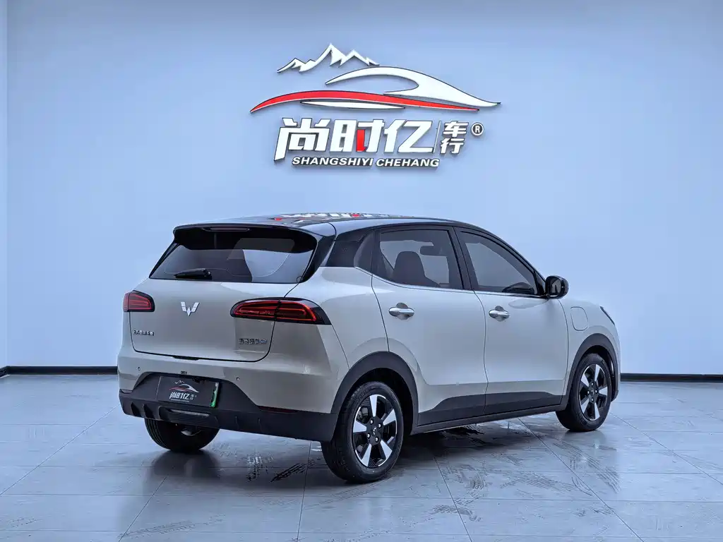 Wuling BinguoPLUS PLUS 2024 401km мест