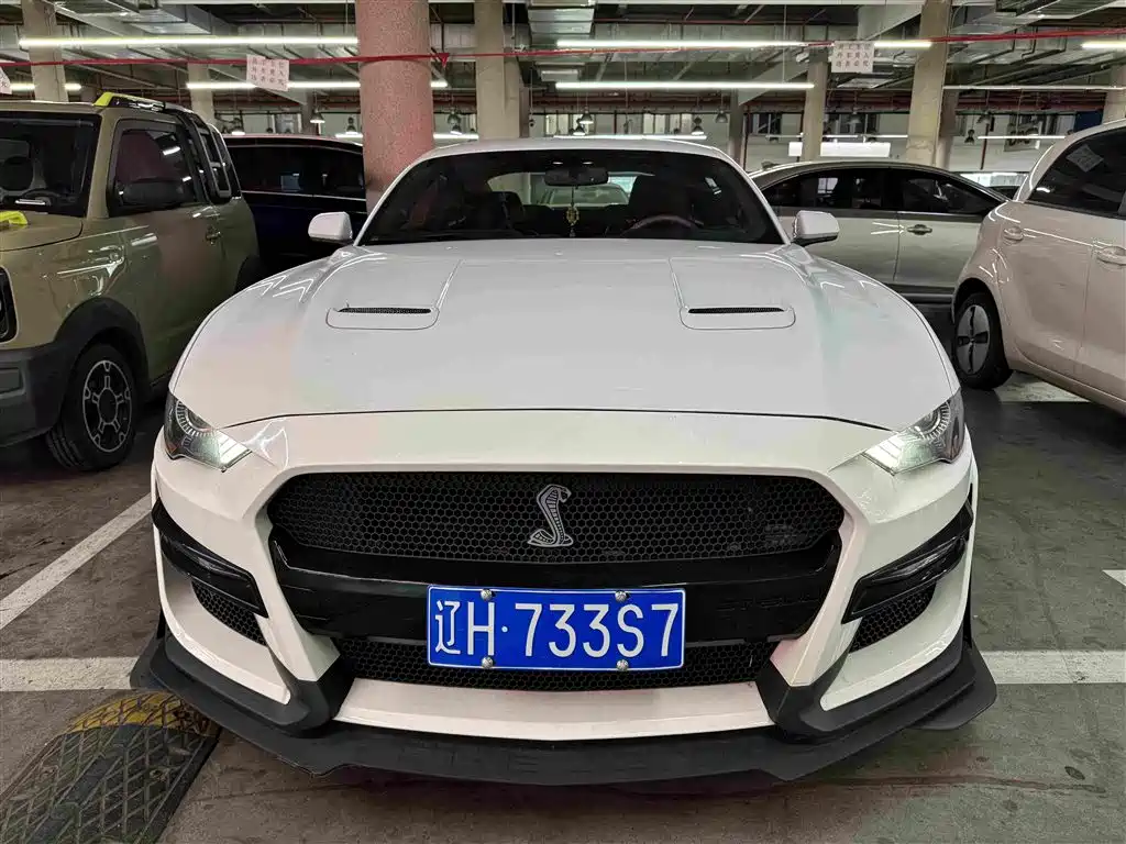 Ford Mustang — миниатюра 3