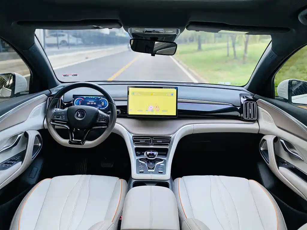 BYD Pro New Energy — миниатюра 5