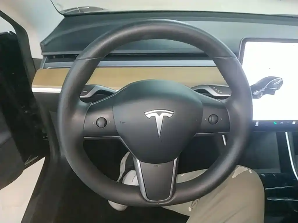 Tesla Model 3 — миниатюра 11