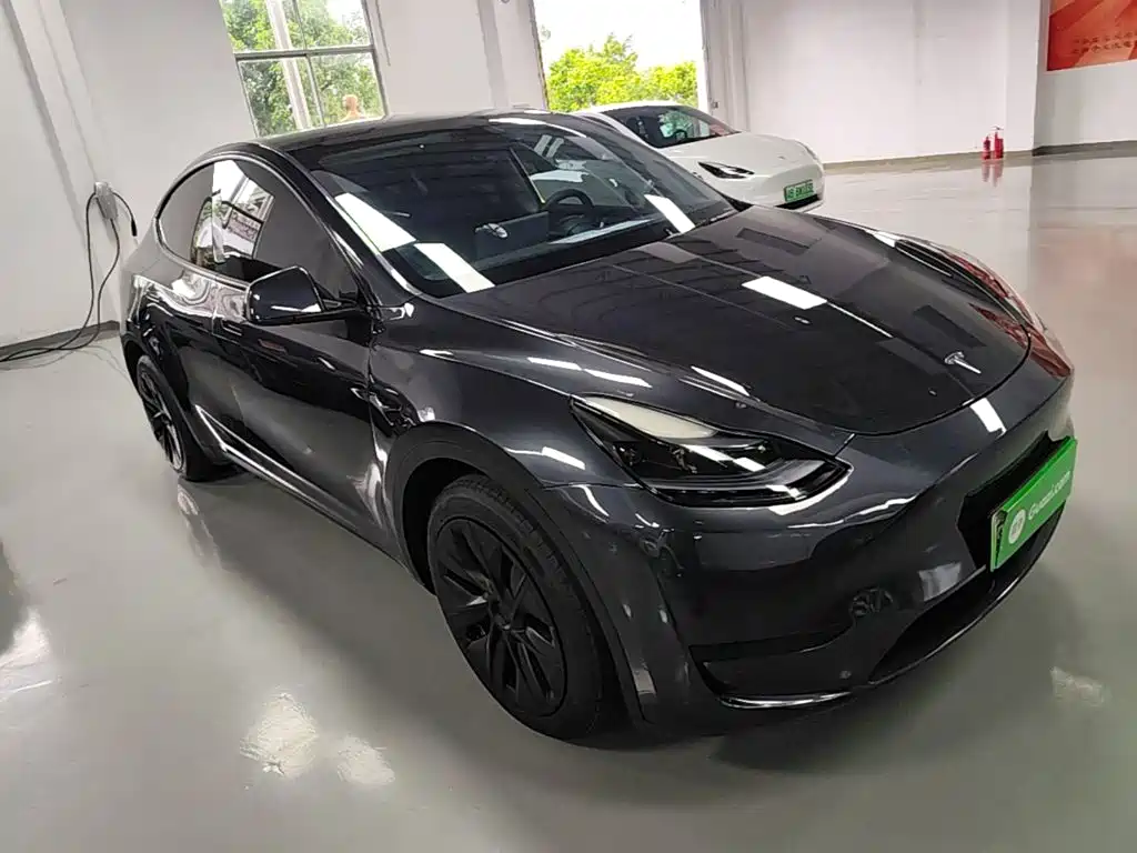 Tesla Model Y — миниатюра 4