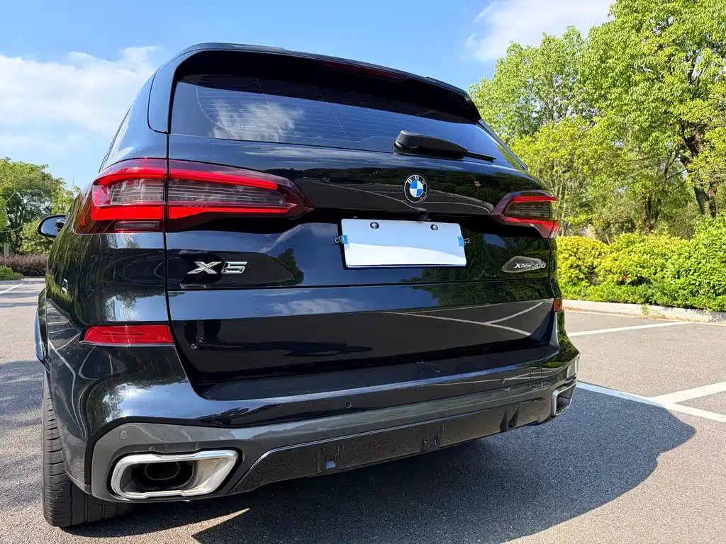 BMW X5 — миниатюра 9