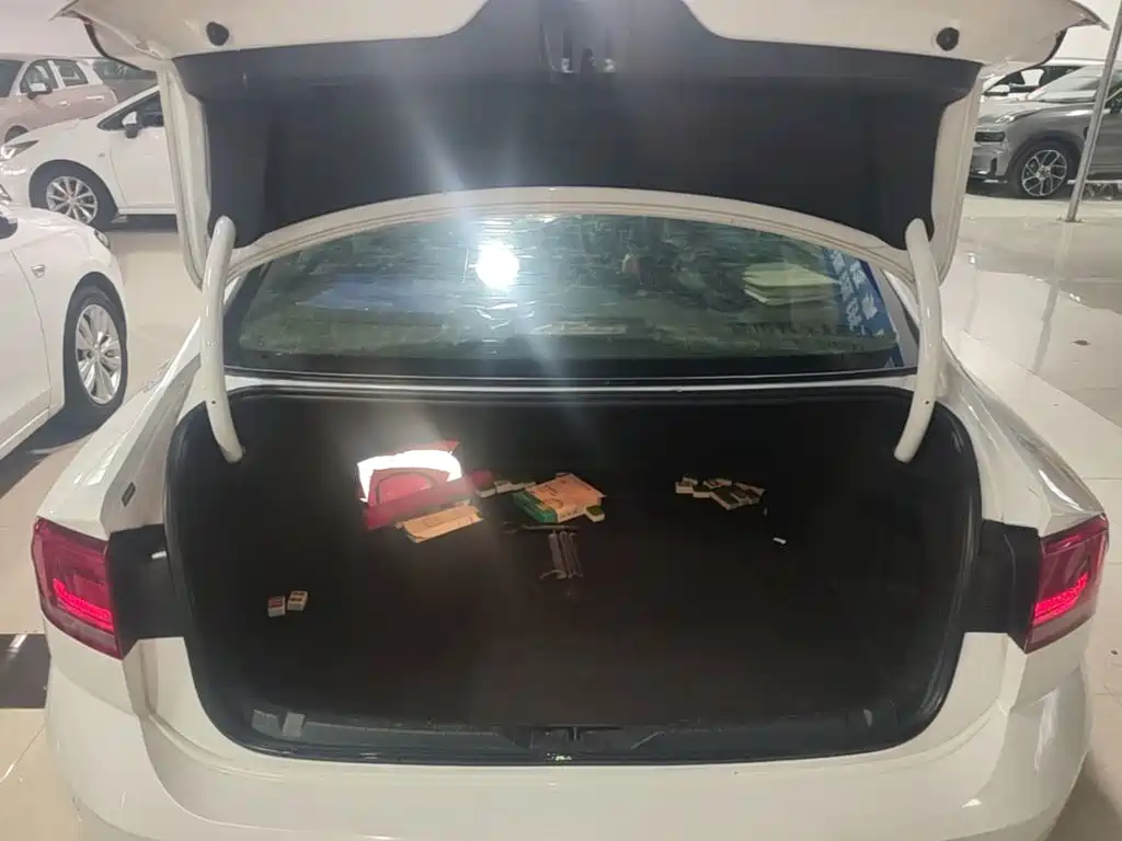 Volkswagen Lamando — миниатюра 19