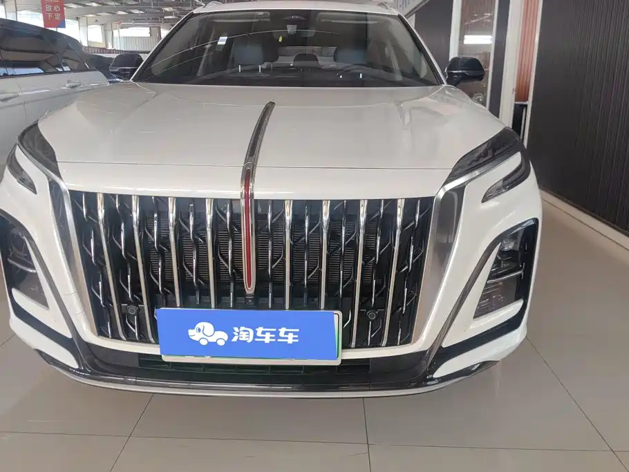 Hongqi Hongqi HS3 PHEV — миниатюра 2