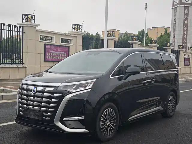 2023 Denza D9