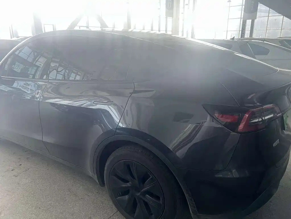 Tesla Model Y — миниатюра 3