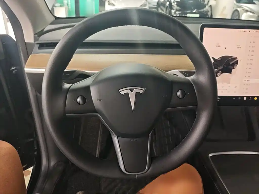 Tesla Model Y — миниатюра 11