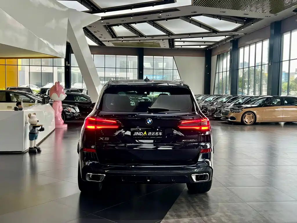 BMW X5 — миниатюра 8