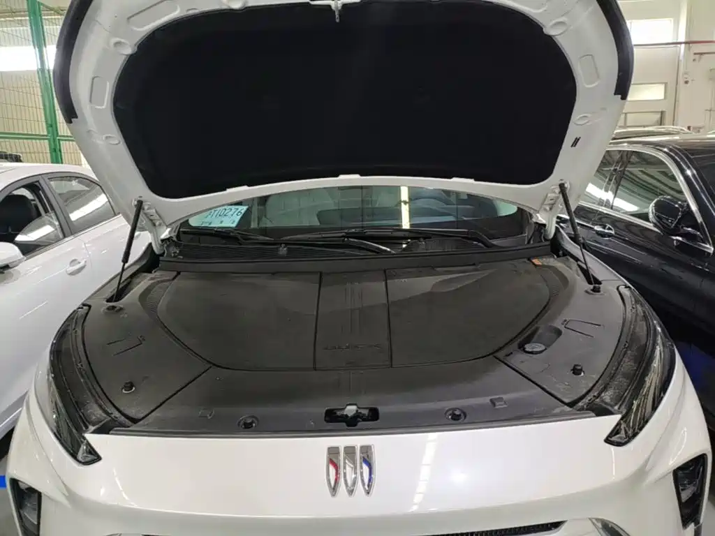 Buick E5 — миниатюра 20