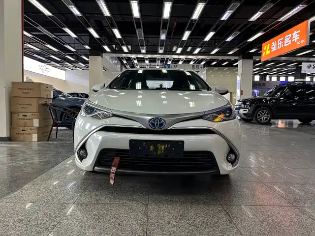 TOYOTA LEI LING 2019