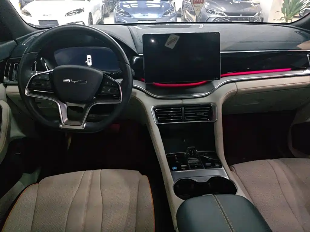 BYD PLUS New Energy — миниатюра 10