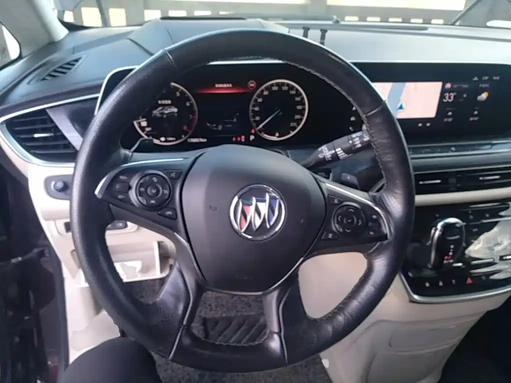 Buick GL8 — миниатюра 11