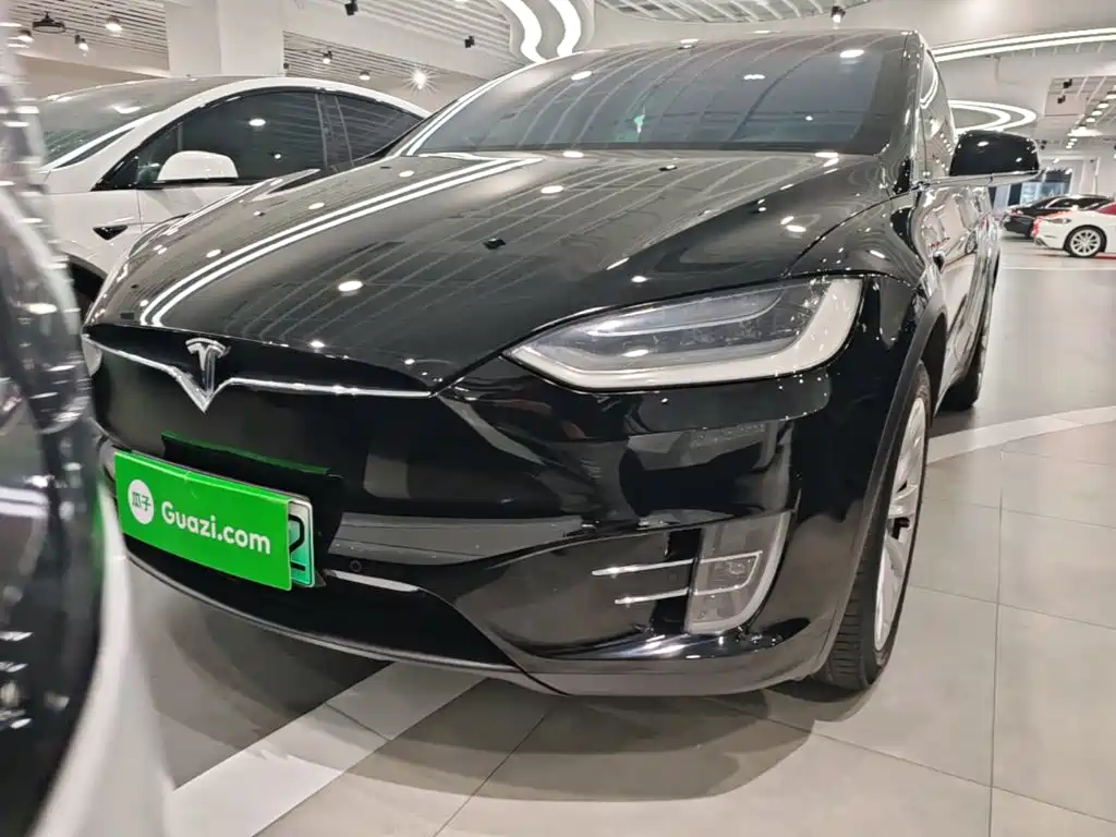 Tesla Model X — миниатюра 3