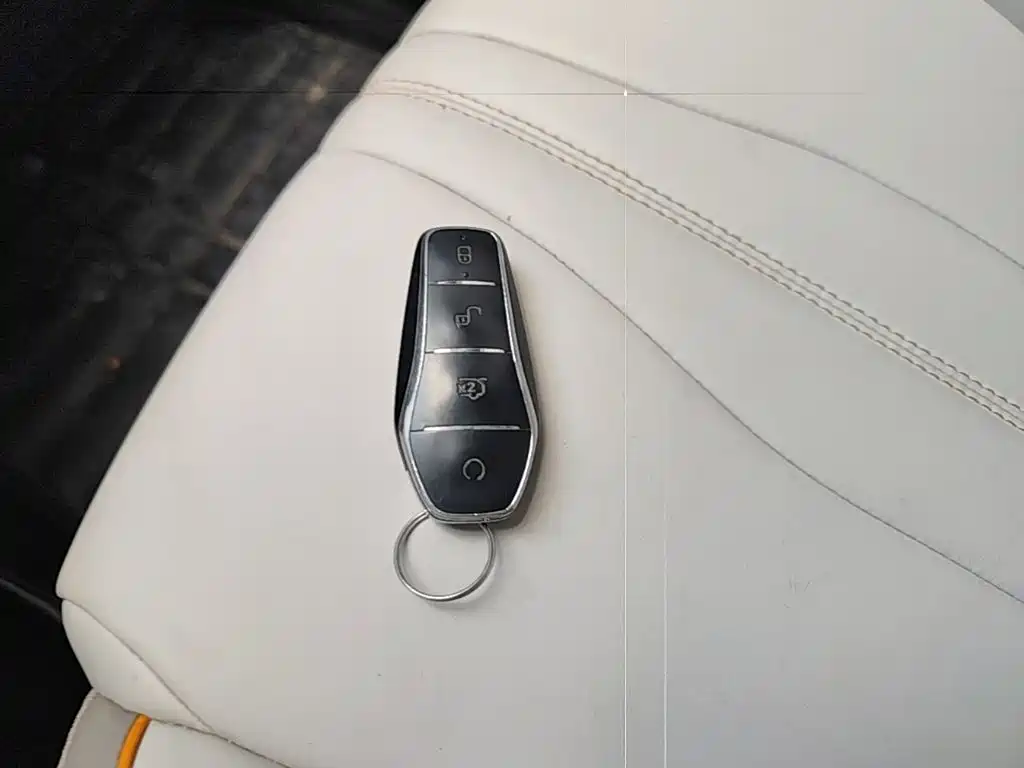 BYD Pro New Energy — миниатюра 13