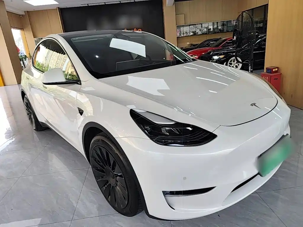 Tesla Model Y — миниатюра 4