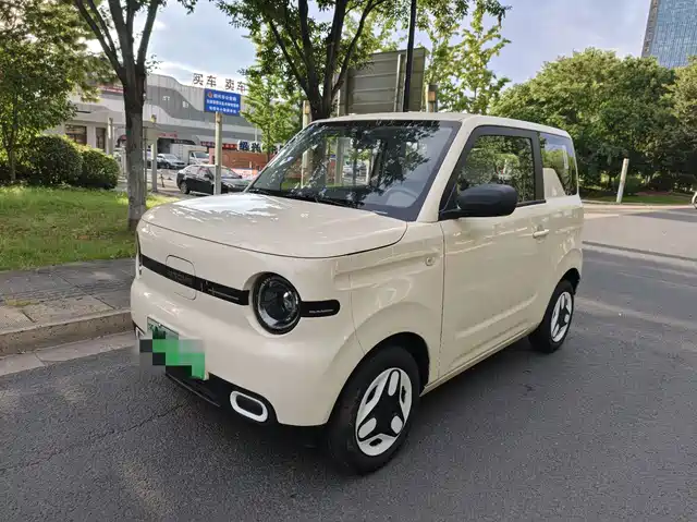 2025 Geely LC (Panda)