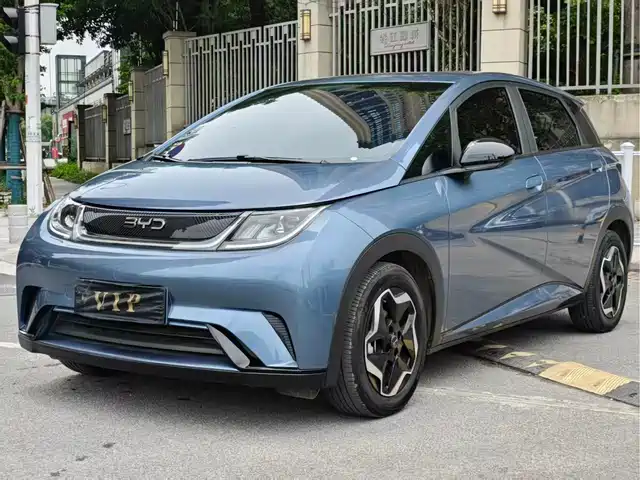 2025 BYD Dolphin