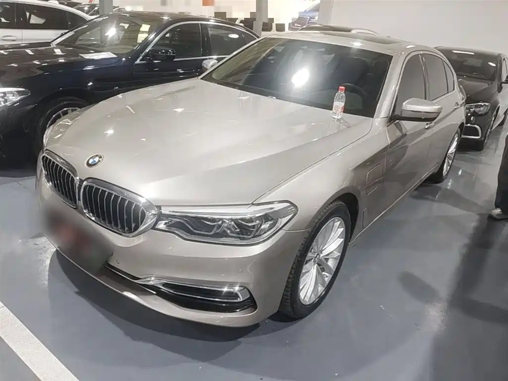 BMW 5 Series NEV 2020 Mile Range Upgrade Edition 530Le Pioneer Edition