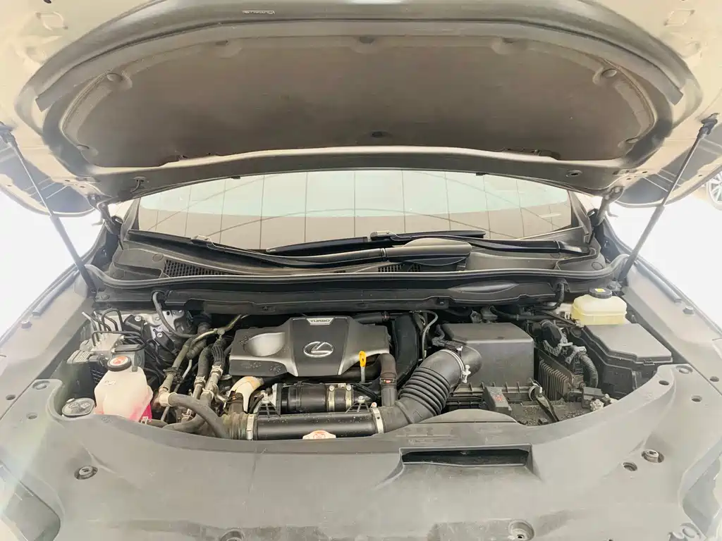 Lexus RX — миниатюра 16
