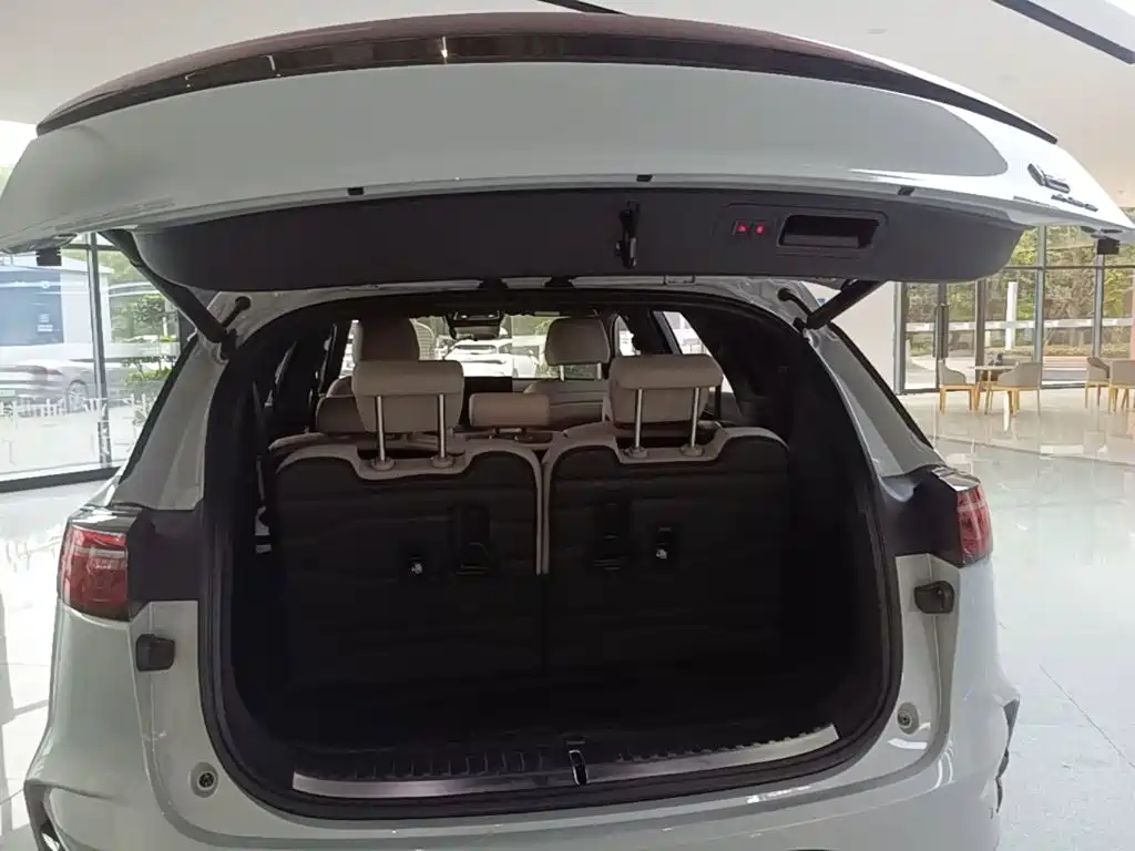 BYD Tang New Energy — миниатюра 19