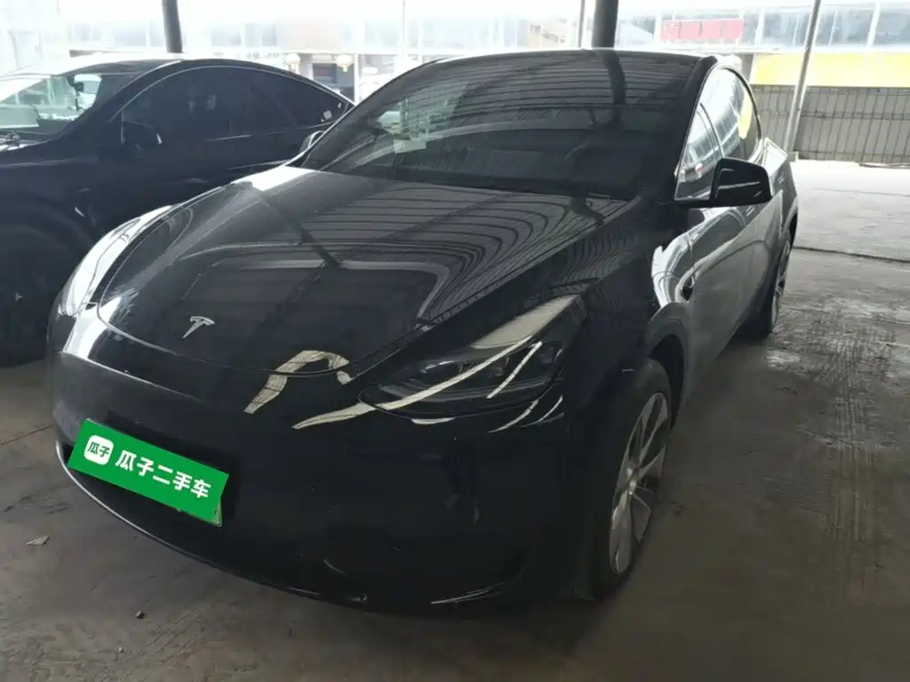 Tesla Model Y — миниатюра 2