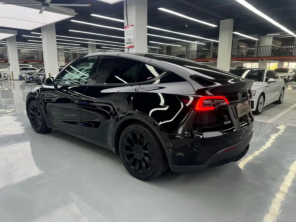 Tesla Model Y — миниатюра 12