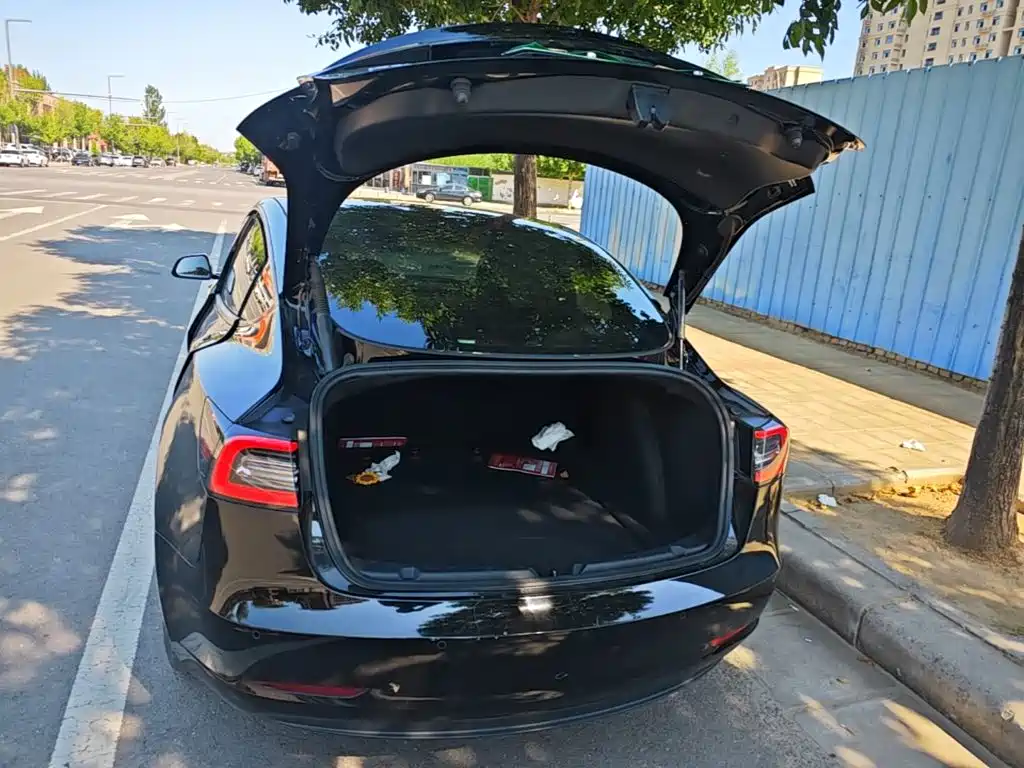 Tesla Model 3 — миниатюра 19