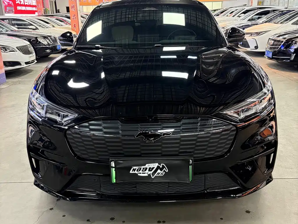 Ford Mustang Mach-E — миниатюра 2