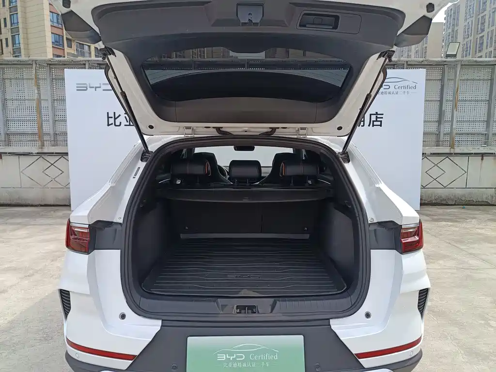 BYD PLUS New Energy — миниатюра 16