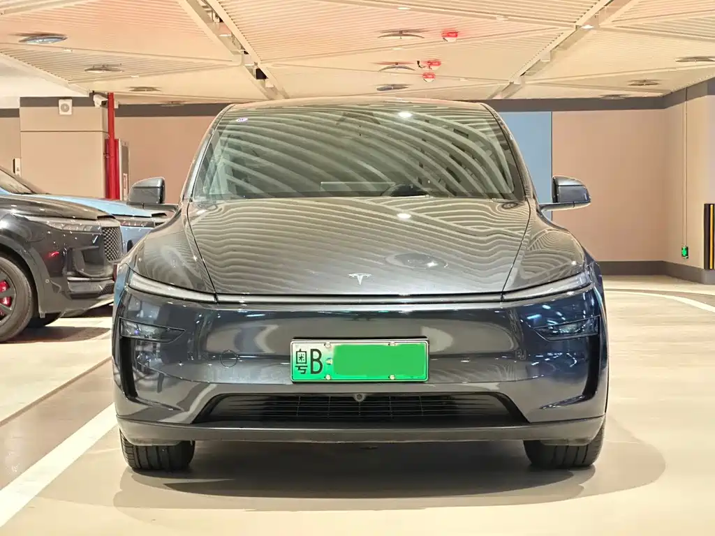 Tesla Model Y — миниатюра 2