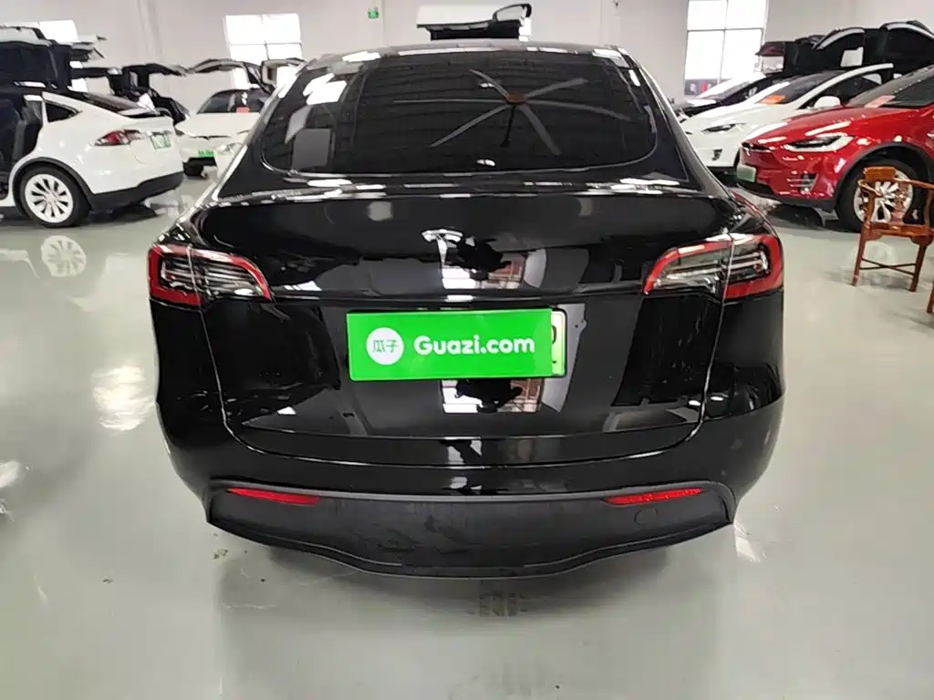 Tesla Model Y — миниатюра 6
