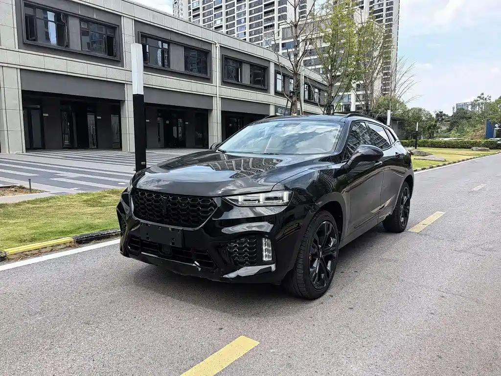 2019 Wey VV7 - zdjęcie 1 z 9