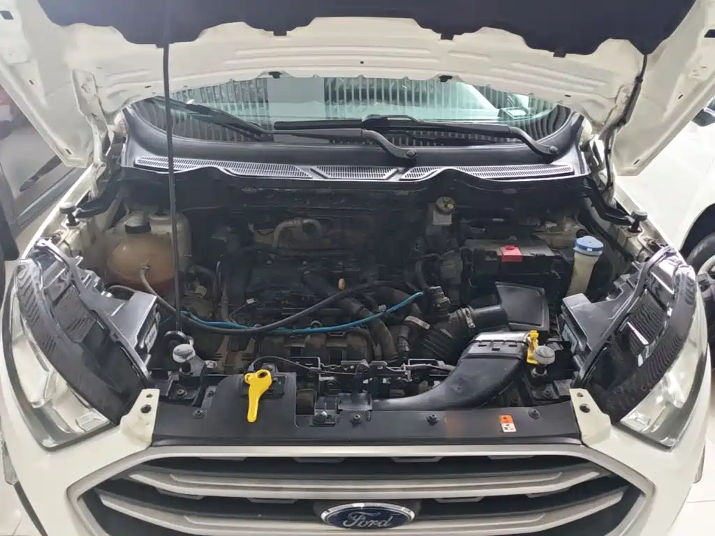 Ford Ecosport — миниатюра 20