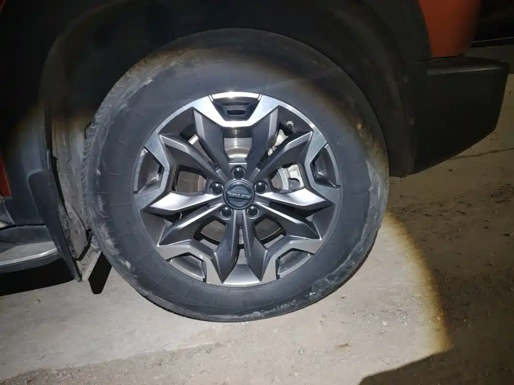Haval Big Dog — миниатюра 8