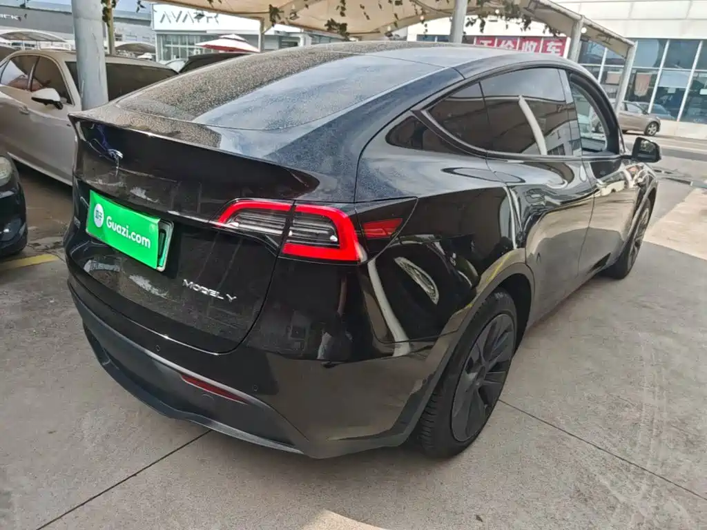 Tesla Model Y — миниатюра 7