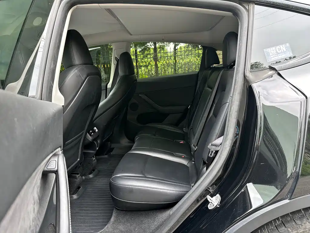 Tesla Model Y — миниатюра 6