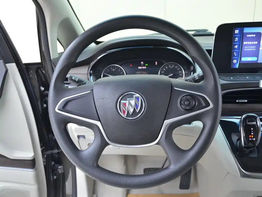 Buick GL8 — миниатюра 9