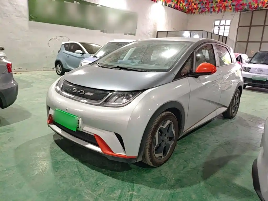 BYD Dolphin