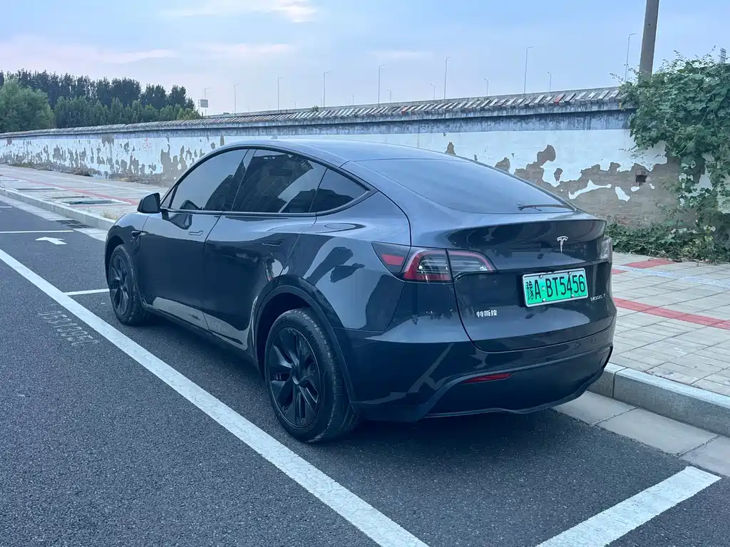 Tesla Model Y — миниатюра 9