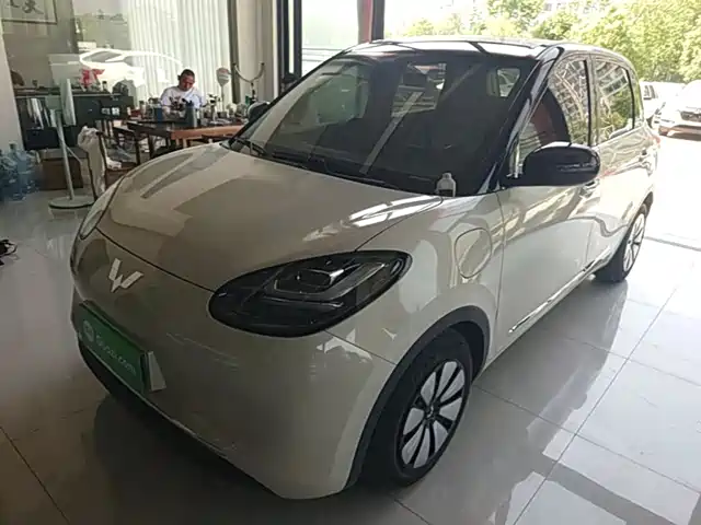 2024 Wuling Motors Binguo