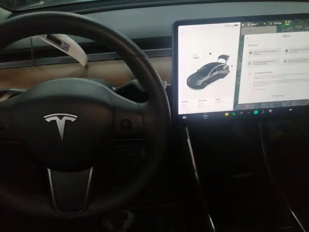 Tesla Model 3 — миниатюра 14